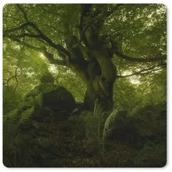 MuchoWow Mauspad (1-St), Mouse pad groß, Schreibtisch Zubehör, 50x50 cm bunt 50x50 | 50 cm x 50 cm