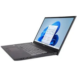 TERRA Mobile 1716R i5-1334U 16GB 500GB SSD W11H Notebook (16 GB)