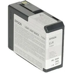 Epson T5807 light schwarz
