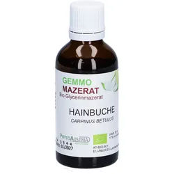 PhytoAustria Gemmo Mazerat Hainbuche Bio Glycerinmazerat