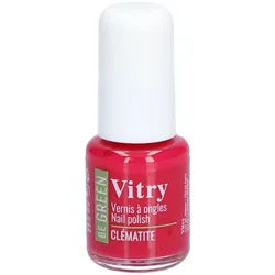 Vitry Vernis be grüner Clematit