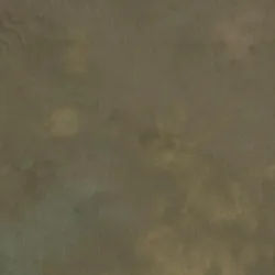 Calumet Hintergrund Master's Brown 3 x 3,60m