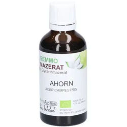 Gemmo Mazerat Ahorn – Gemmotherapie mit pflanzlicher Kraft