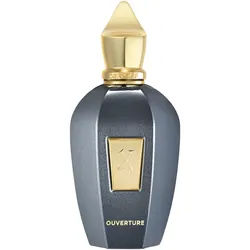 Xerjoff Xerjoff Vibe Ouverture EdP Nat. Spray - 0.1 l