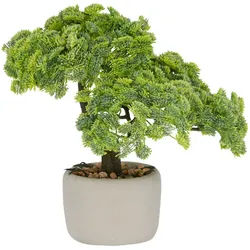 Kunstbonsai Bonsai Sedum multiceps, Creativ green, Höhe 24 cm, mit modernem Pflanzgefäß grün