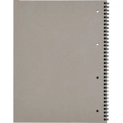 LANDRE Notizblock Kollegblock A4 70g/qm kariert 80 Blatt Register rot rot