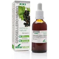Soria Natural® Ribes Nigrum XXI