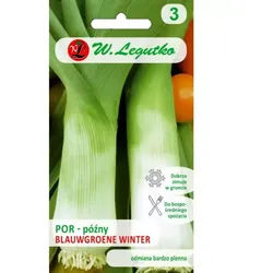 Por Blauwgroene Winter – spät