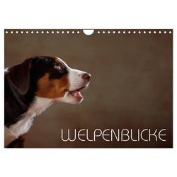 CALVENDO Wandkalender Welpenblicke (Wandkalender 2025 DIN A4 quer), CALVENDO Monatskalender 29.7 cm x 1 cm x 21.0 cm