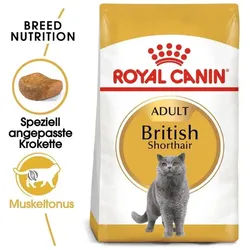 ROYAL CANIN British Shorthair 400g + Überraschung für die Katze