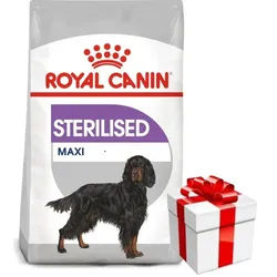 ROYAL CANIN CCN Maxi Sterilised 12kg + Überraschung für den Hund