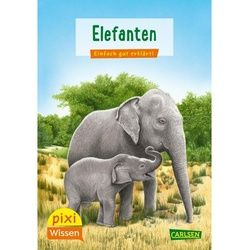 Pixi Wissen 18: Elefanten - Hanna Sörensen, Kartoniert (TB)