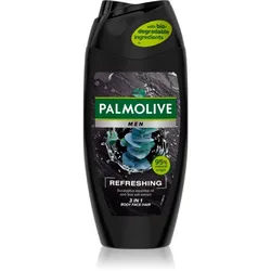 Palmolive Men Refreshing Duschgel für Herren 3 in1 für Herren 250 ml
