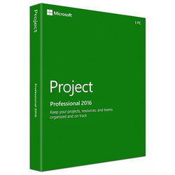 Microsoft Project 2016 Professional (PC)