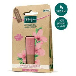 Kneipp Lippenpflegemittel Lip Care Lippenpflegestift Mandel - Candelilla 4,7 g beige