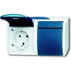 Busch-Jaeger Schuko-Steckdose 2-fach grau/bgn waagerecht 20/2 EW-53