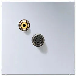Jung Mutimedia-Einsatz Composite Video / S-Video (Aluminium)