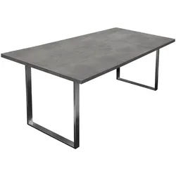möbel-direkt.de Esstisch Esstisch 200 cm Steel