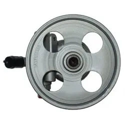 SPIDAN Hydraulikpumpe, Lenkung 54295 für CITROËN/PEUGEOT