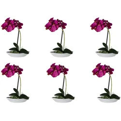 CREATIV green künstliche Pflanze Phalaenopsis, 30 cm, 6er Set