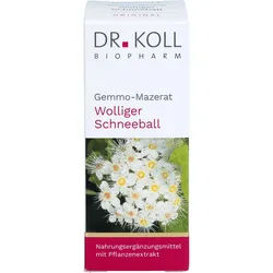 Gemmo-Mazerat Wolliger Schneeball Dr.koll Viburnum 50 ML