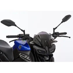 ERMAX Naked-Bike-Scheibe Acrylic (PMMA)