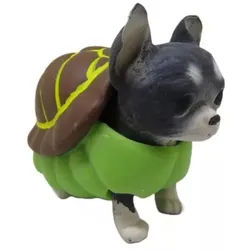 Kleide deinen Welpen: Serie 2 - Chihuahua im Schildkrötenkostüm