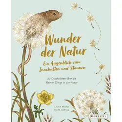 Kinderbuch Wunder der Natur. Ein Augenblick zum Innehalten und Staunen 20 Geschic Laura Brand, Freya Hartas grau