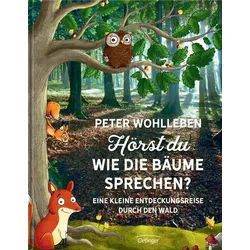 Hörst du, wie die Bäume sprechen? Eine kleine Entdeckungsreise durch den Wald