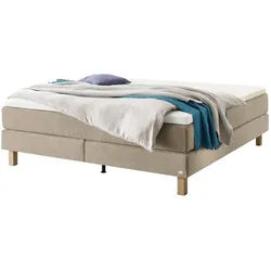 Boxspringbett HASENA CARLOTA