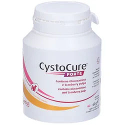 Cystocure Forte Dose 30 Tabletten