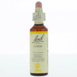 Bach®-Blüte Gorse (Stechginster)