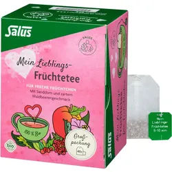 Salus Mein Lieblings-Früchte-Tee 40 St Filterbeutel