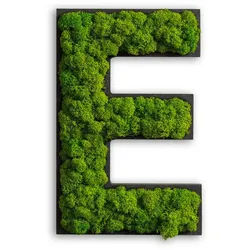 Moosbild , Grün , Naturmaterialien , Kork , 26x16x4 cm , einfache und schnelle Anbringung, pflegefrei – nicht gießen oder besprühen, keine Beleuchtung notwendig , Bilder & Rahmen, Moosbilder