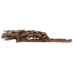 Aquaone Aquarium XL Honey Comb Wurzel Nr.1932 Holz Deko Aquascaping