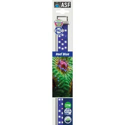 Aquarium Systems Proten LED Lichtleiste Reef Blue 1 St