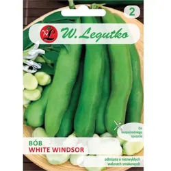 Gartenbohne Windsor Weiß – mittelspät