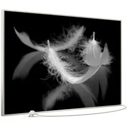 STEINFELD Heizsysteme Infrarotheizung Bild 900W, 120x74cm, Made in Germany, 7J Garantie, mit Thermostat, viele Motive silberfarben