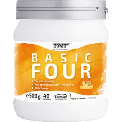 TNT Basic Four - Trainingsbooster Pulver 0,5 kg