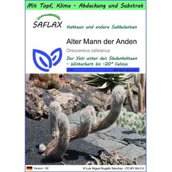 SAFLAX Blumensamen SAFLAX - Garden to go - Alter Mann der Anden