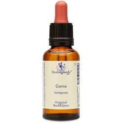 Healing Herbs Gorse Original Bachblüten Tropfen 30 ml