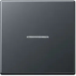 Jung A590BFKO5ANM Wippe mit Lichtleiter, Thermoplast lackiert, Serie A, anthrazit matt
