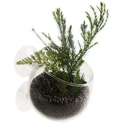 Europet-Bernina Aquariendeko Aquarium Dekoration Plant Cup Glass transparent