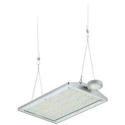 Philips Lighting LED-Hallenleuchte BY581X 250 59407400