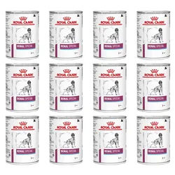 ROYAL CANIN Renal Special 12x410g