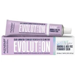 Alfaparf Milano Professional Evolution of the Color Shine effect Cool Natural 04 mittelbraun 60ml