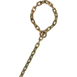 ABUS Chain KS/9 Loop Schlosskette, gold, Größe 250 cm für Männer