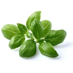 Click and Grow - Smart Garden Refill 3-pack - Basil (SGR3X3)