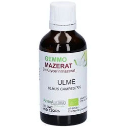 PhytoAustria Gemmo Mazerat Ulme Bio Glycerinmazerat