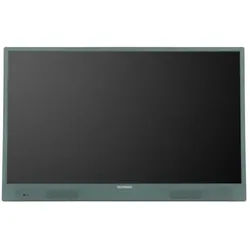 Telefunken PL32GI LCD-LED Fernseher (32 Zoll, HD Ready, WLAN integriert, WLAN integriert) grün